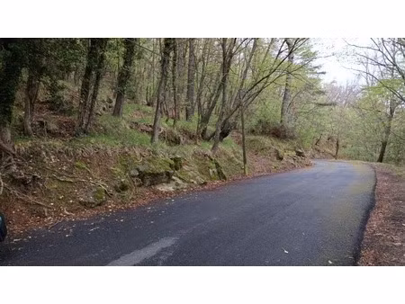 terrain à vendre de 16 225 00 m² peille (06)