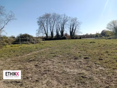 vente terrain 1430 m² à hagetaubin (64370)  27 000 €