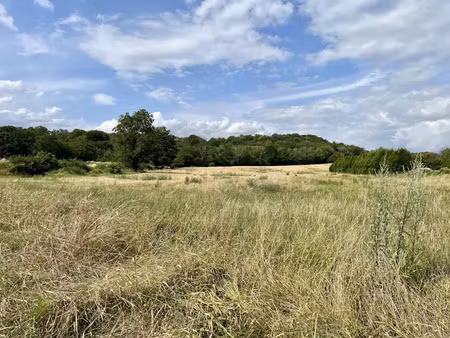 vente terrain 942 m² à neuville-sur-ailette (02860)  37 500 €