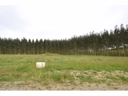 vente terrain à batir 1133 m² à bats (40320)  36 263 €