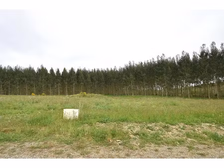 vente terrain à batir 1133 m² à bats (40320)  36 263 €