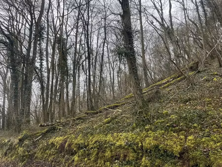 vente terrain 8017 m² à vailly-sur-aisne (02370)  25 000 €