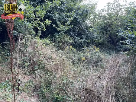 terrain constructible