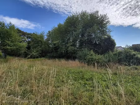 vente terrain 1300 m² à montereau-fault-yonne (77130)  61 500 €