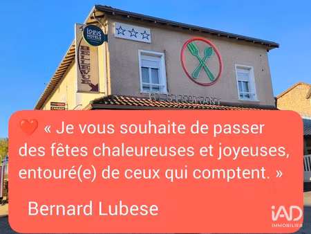 vente locaux professionnels 700 m² à bessines-sur-gartempe (87250)  267 500 €