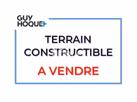 terrain