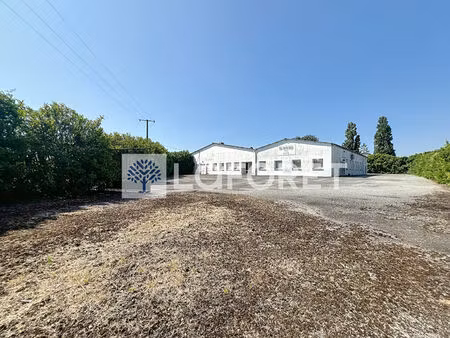 entrepôt / local industriel thenezay 1115 m2