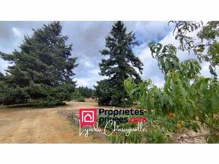 parcelle - saint andré d'apchon - 1100 m2