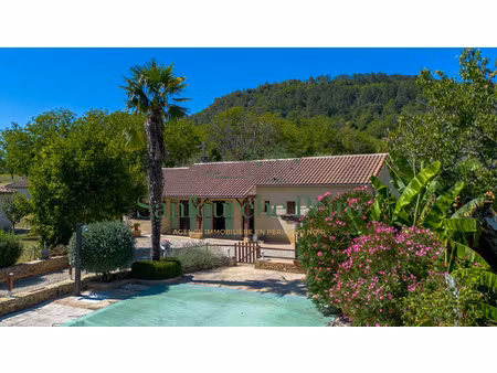 à 8km de saint-cyprien - vallée de la dordogne