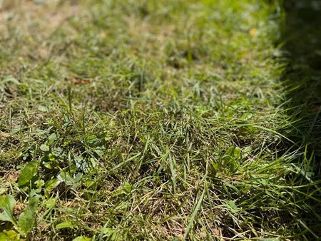 vente terrain 451 m² à nogent-sur-vernisson (45290)  20 000 €