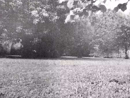 vente terrain 480 m² à boissy-le-châtel (77169)  80 000 €