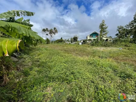 vente terrain à saint benoit (97470)  99 500 €