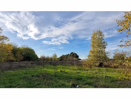 vente terrain 43800 m² à marsillargues (34590)  118 800 €