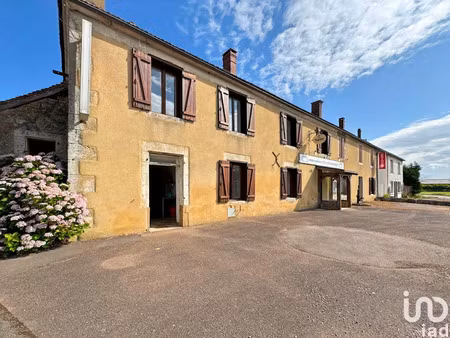 vente locaux professionnels 275 m² à saint-sauveur-en-puisaye (89520)  160 000 €