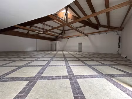 vente locaux professionnels 198 m² à le palais-sur-vienne (87410)  277 950 €
