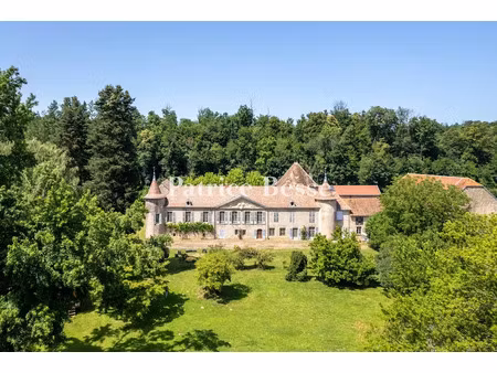 vente château 15 pièces 1600 m² à aulx-lès-cromary (70190)  1 500 000 €