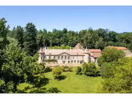vente château 15 pièces 1600 m² à aulx-lès-cromary (70190)  1 500 000 €