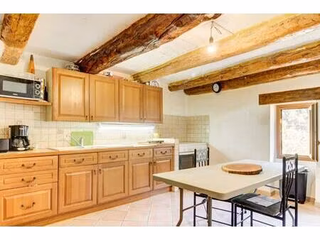 charmante maison en pierre avec terrasse et jardin - le mas