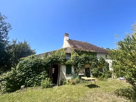 maison avec un terrain