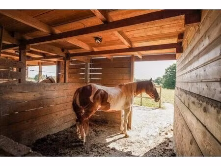 vente commerce 8 pièces 352 m² châtillon-sur-chalaronne (01400)