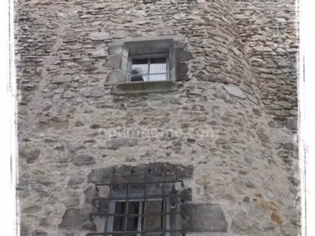 vente maison 7 pièces 170 m² à courpière (63120)  51 000 €