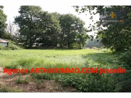 guehenno terrain de 3 000 m² avec une partie constructible