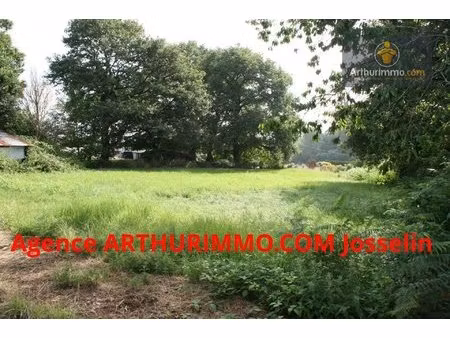 guehenno terrain de 3 000 m² avec une partie constructible