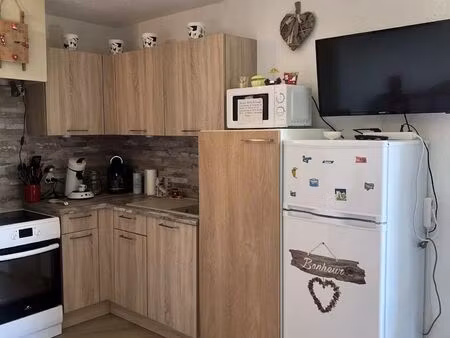 vente appartement 1 pièce 21 m² ancelle (05260)