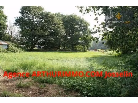 vente terrain 3000 m2 à guéhenno
