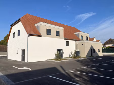 achat local professionnel 26m² gerstheim 67150