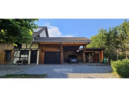 achat maison 7 pièces 175m² blotzheim 68730