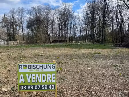 manspach : beau terrain plat