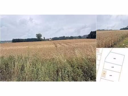 terrain à vendre à rue de philippeville lot 1 florennes (vbd06708)