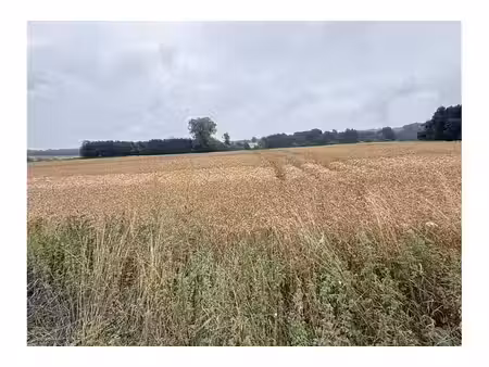 terrain à vendre à rue de philippeville lot 1 florennes (vbd06708)
