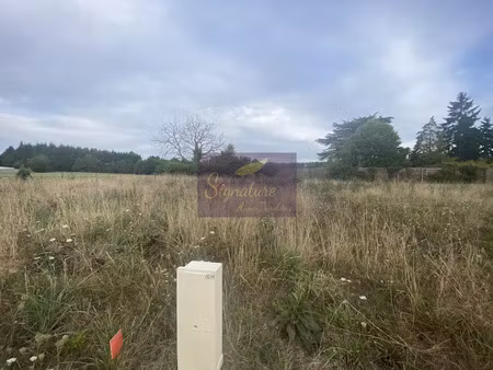 vente terrain 1347 m² à change (72560)  177 000 €