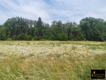 terrain à vendre sermaise