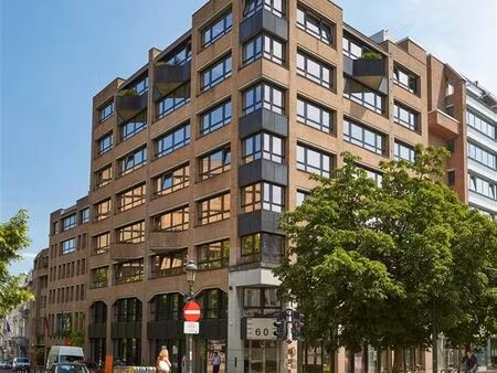 troon/ trône 60: 331m²