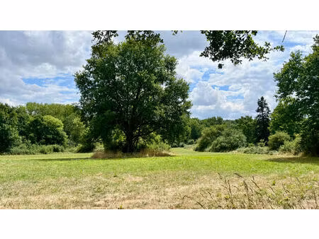 vente terrain 16600 m² charbuy (89113)