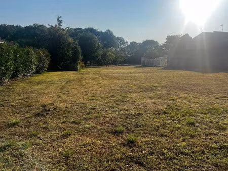 vente terrain à batir 1500 m² à meschers-sur-gironde (17132)  199 000 €