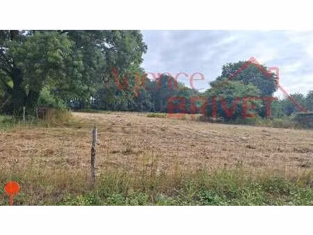 vente terrain à saint-gildas-des-bois (44530) : à vendre / 880m² saint-gildas-des-bois