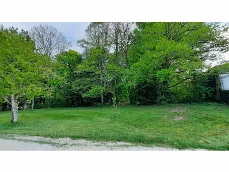 neuville sur ain belle parcelle de terrain constructible 932 m²