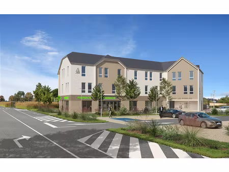 achat local professionnel 26m² ousse 64320