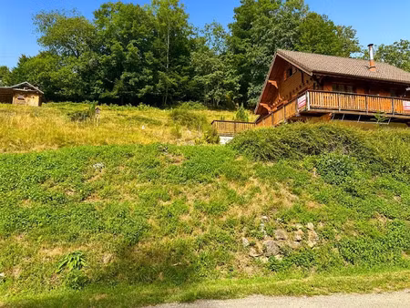 vente chalet 5 pièces 90 m² à kruth (68820)  210 000 €