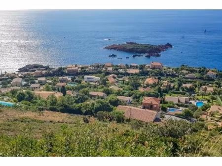 annonce terrain à vendre