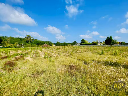 vente terrain 2200 m² saint-germain-d'esteuil (33340)