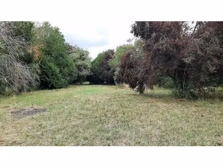 terrain à vendre terranjou