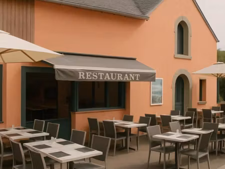 vente locaux professionnels 200 m² à damgan (56750)  198 800 €