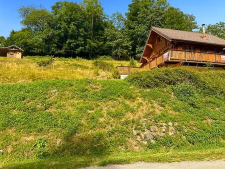 chalet de charme  kruth  68820  5 pièces  90 m2  terrain 22 ares