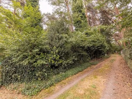terrain à vendre à vorselaar € 20.000 (lbwm7) - heylen vastgoed - herentals | zimmo