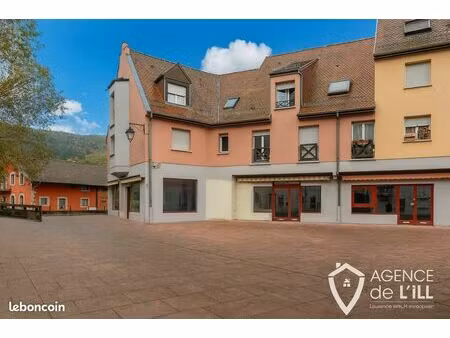 local 221 m² kaysersberg